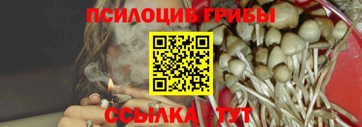Архангельск  Галлюциногенные грибы Psilocybe  где купить наркотик  Псилоцибиновые грибы прущие грибы  Вход с VPN 